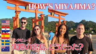 Interview about Miyajima Island and Japan Travel. How to enjoy Miyajima in summer, beautiful sunset.