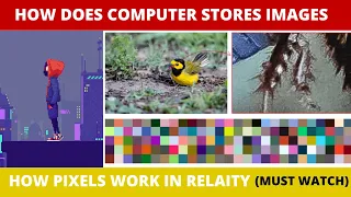 HOW COMPUTERS STORES (Images,Videos) | How pixel works in Reality | Everything you need to know | 4K