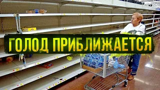 Мир ожидает голод? Россия и Украина единственные, кто могут сейчас накормить человечество?