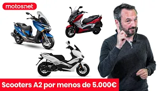 Top 🖐️ scooter GT A2 por menos de 5.000€ 🤑 / Ranking / motos.net