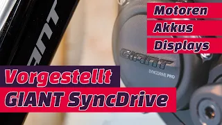 GIANT SyncDrive erklärt: Motoren, Akkus, Displays und Smartphone App