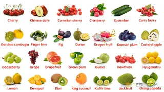 100 Most Popular Fruits in The World | Learn Names of Different Types of Fruits in English