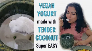 Super Easy Tender Coconut Yogurt  | Homemade Vegan Coconut Yogurt #veganrecipes