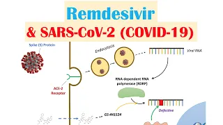 Remdesivir & SARS-CoV-2 (COVID-19) | Mechanism of Action, Adverse Effects, Anti-Viral Properties