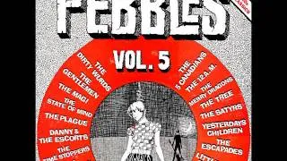 Pebbles Vol.5 - 02 - The Plague - Go Away