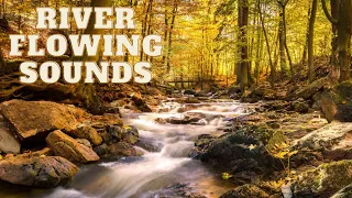 River Flowing Sounds – Calm Soothing Gentle Water Stream For Sleeping