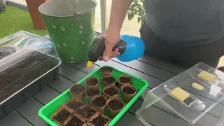 Les chroniques jardin de France Bleu Sud Lorraine, les semis de tomates