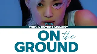 VİEN/ON THE GROUND-COVER