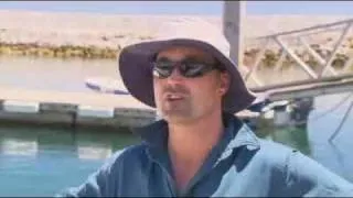 Fisherman fights off shark attack