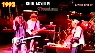 Soul Asylum - Sexual Healing (live at the Beacon Theatre)