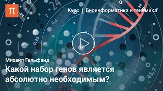 Минимальный геном — Михаил Гельфанд