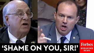 'You're Going To Bring Up My Dad?!': Mike Lee Explodes On Witness Who Invokes His Late Father