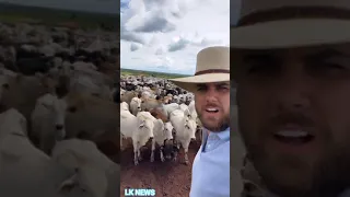 Zé Neto da dupla Zé Neto e Cristiano mostra a fazenda paraíso + vacinação da boiada #Shorts