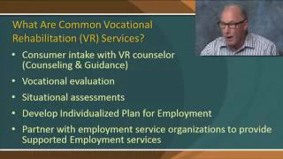 Individualized Vocational Rehabilitation Services and Young Adults with ASD: A Case Study