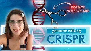 2️⃣ CRISPR-Cas9: come funziona il sistema che ha rivoluzionato il genome editing