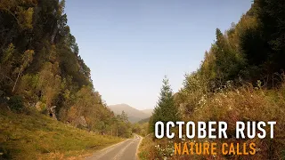 Virtual Run | October Rust | Nature Calls | Treadmill Run, Walk