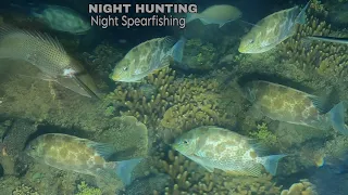 Ang LALAPAD! Sulit nanaman kahit malamig! Night Dive spearfishing