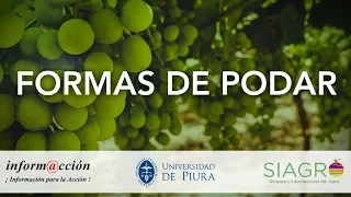 2.2 Formas de Podar