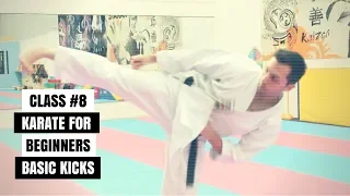 Martial Arts for Beginners – Lesson 8 / Basic Karate Cobra Kai - KICKS