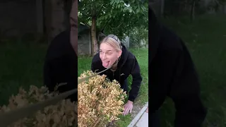 Tik-Tok: Мысли собаки 🐶