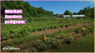 Growing Together Farm | Volunteer Gardener