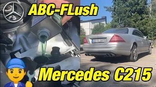 How to do an ABC-Flush on a Mercedes C215/W220 CL 500