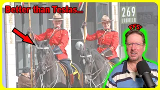 Even HORSES are better than Teslas! MGUY EV News 24 May 2024 | MGUY Australia