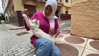 The friendly stray cat is trying to say let me hug you or bite your fingers.