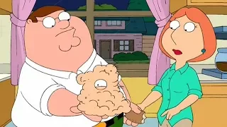 The monkey has a surprise for Peter & Lois