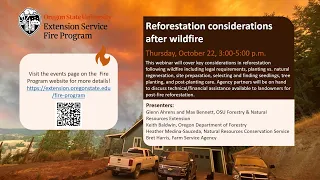 Reforestation considerations after wildfire