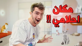 هاد اكثر مكان فيه قطط بالعالم !!