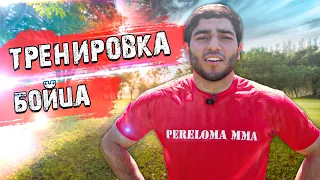 Упражнения для бойцов Топ-6  / Тренировка дома ММА 4