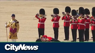 WATCH: British royal guard members collapse during King's birthday rehearsal