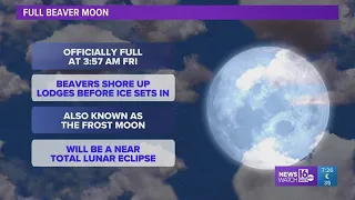 Skywatch 16: A beaver moon and lunar eclipse all in one