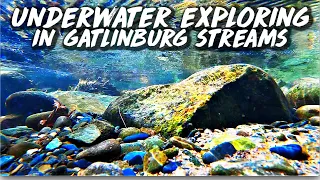 WHAT'S UNDER THE WATER IN THE SMOKIES Underwater Footage in Gatlinburg