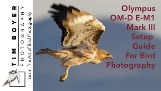 Olympus OM-D E-M1 Mark III Setup Guide For Bird Photography