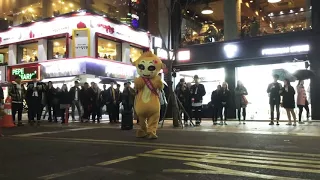 people got shocked Amazing dancing cat mascot in korea__bangarang"Skrillex"