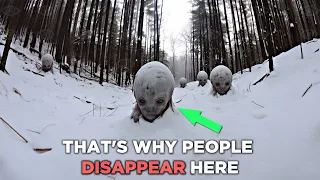 THAT'S WHY Thousands of People DISAPPEARED In This Area of Alaska! Top 20