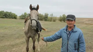 Алгабас - Маштаково. "По следам исчезнувших сёл"