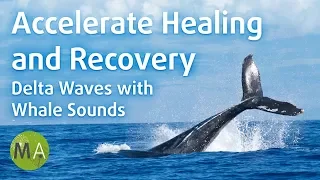 Accelerate Healing and Recovery, Delta Waves with Whale Sounds - Isochronic Tones