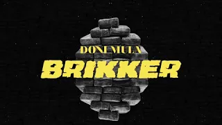 Doni Mula - Brikker