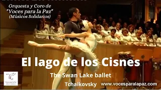 El lago de los Cisnes. The Swan Lake ballet. Tchaikovsky
