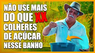 FAÇA DO JEITO QUE EU ENSINO PARA SENTIR A MUDANÇA NA ENERGIA NA HORA *BANHO DE AÇÚCAR*