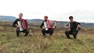 Crazy Accordion Trio - Scent of a Woman [FROM MOVIE]