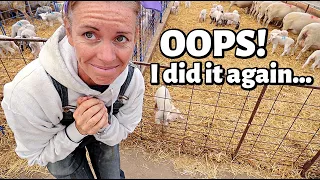 I've GOT to STOP doing this!  Vlog 355