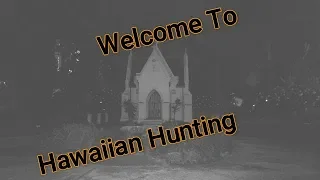 Hawaiian Hunting