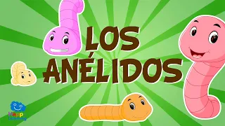 LOS ANÉLIDOS. Animales invertebrados | Vídeos educativos para niños