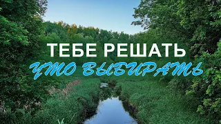 Тебе решать, что выбирать | Семья Коларьковых