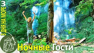 Одна 3 дня на море 🦝 Енот приходит в гости и ест угощения ► Серия 3