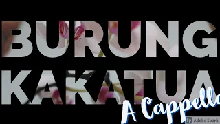 Burung Kakatua (A Cappella)